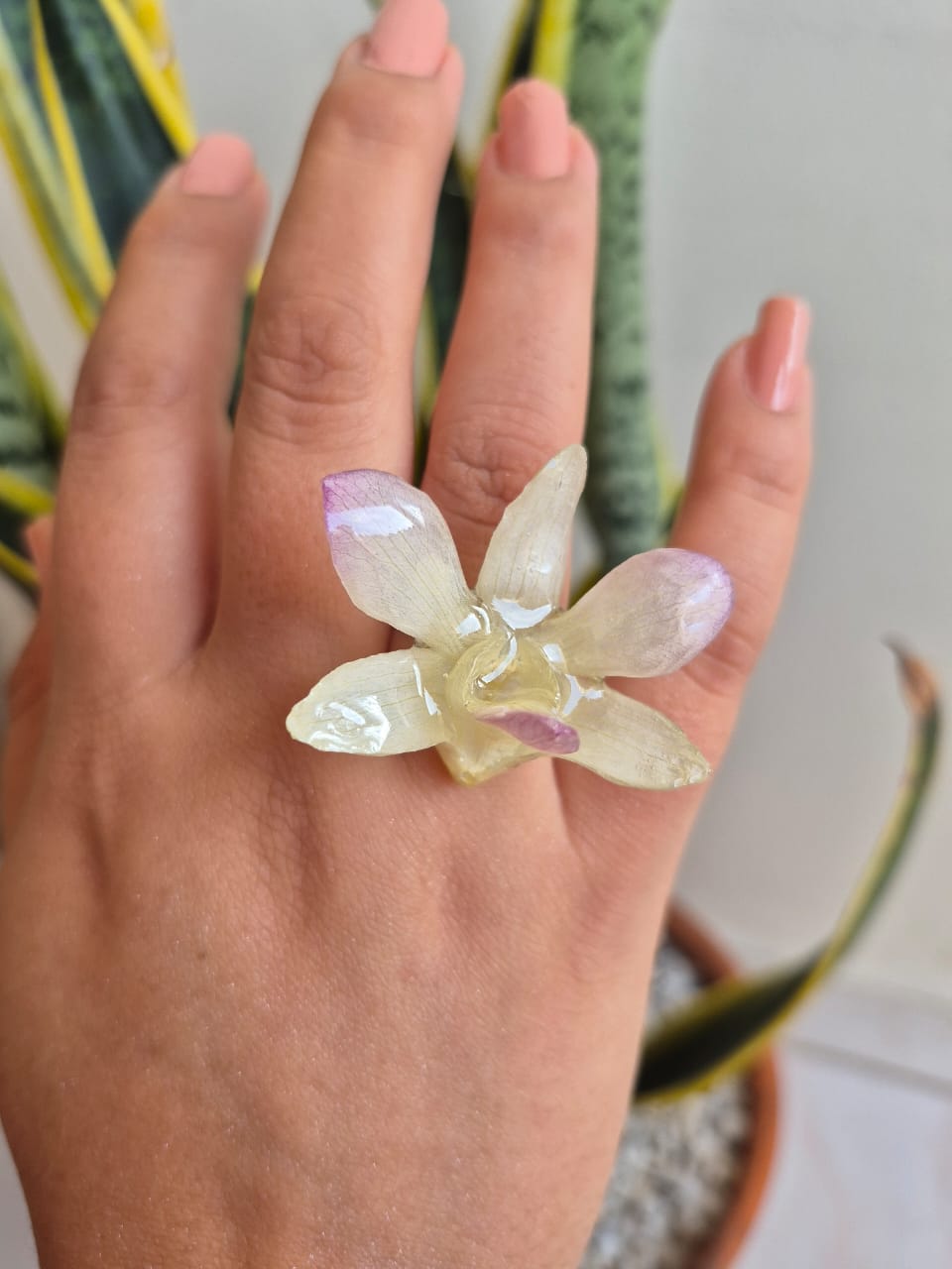 orquidea dendrobium 